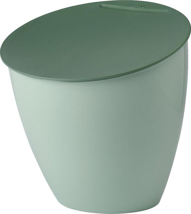 Mint