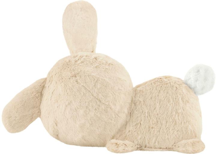 Actual product image Fisher-Price Slumber bunny