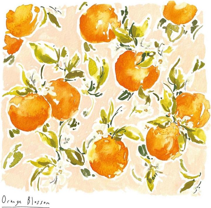 Immagine prodotto Rose Jocham Stampa (40 x 40 cm)