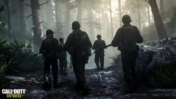 Image du produit Activision Call of Duty: WWII (PS4, EN)