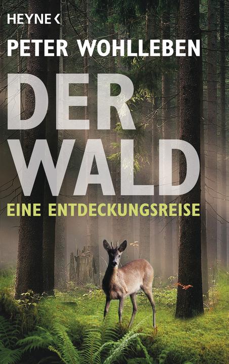 Actual product image Der Wald (German, Peter Wohlleben, 2016)