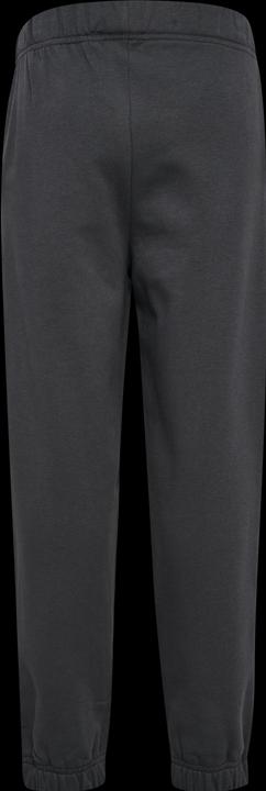 Actual product image hummel hmlALVIN PANTS (176)