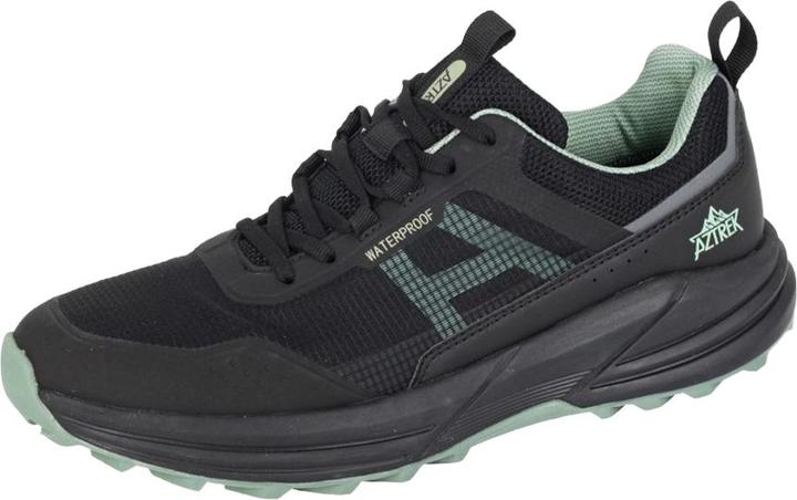 Aztrek Sneaker Wolds
