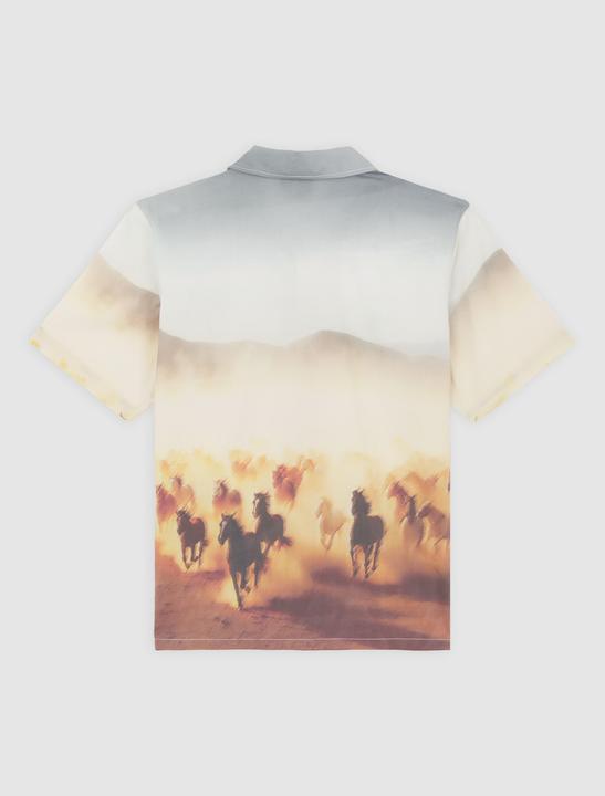 Actual product image Dickies Running Wild Shirt SS (M)