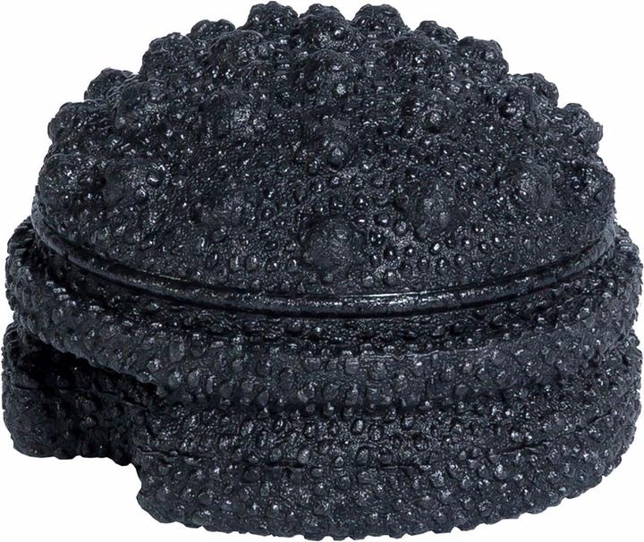 Actual product image Blackroll Twister