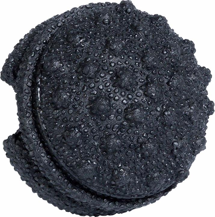 Actual product image Blackroll Twister