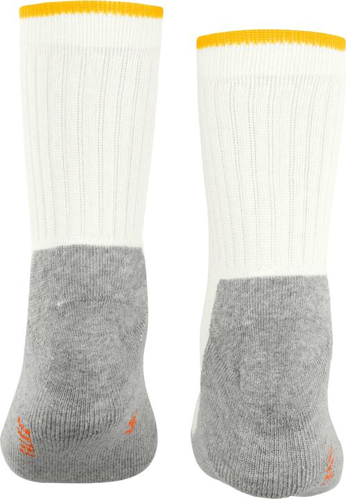 Image du produit Falke Active Everyday SO (23 - 26)