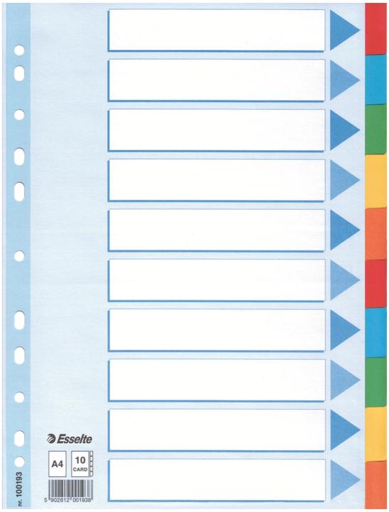 Immagine prodotto Esselte Registro Cartone colorato