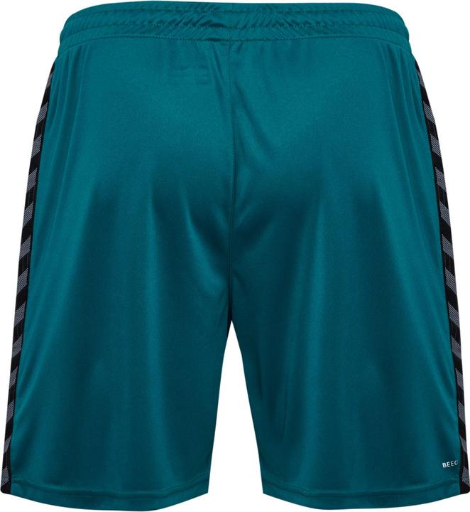 Image du produit hummel Hmlauthentic Pl Shorts (L)