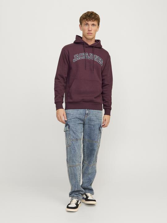 Produktbild Jack & Jones Jjecaleb Varsity Sweat Hood Noos (S)