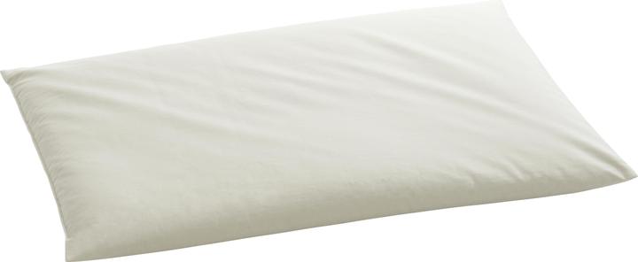 Immagine prodotto Billerbeck Hirsekissen (40 x 60 cm)