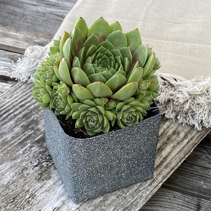 Actual product image Dupli-Color Granite Look (Grey, 0.40 l)