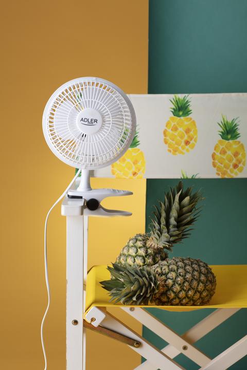 Produktbild Adler AD7317 (46.44 dB)