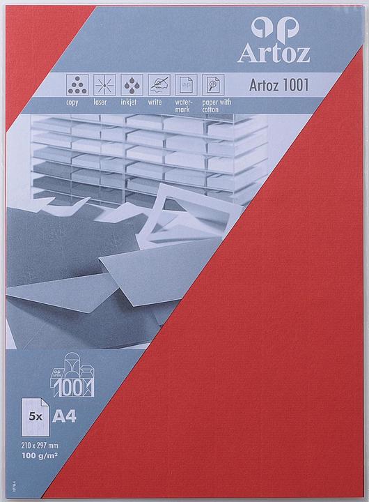 Actual product image Artoz 1001 (100 g/m², 5 x, A4)