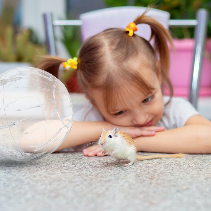 Image du produit Relaxdays Balle pour hamster