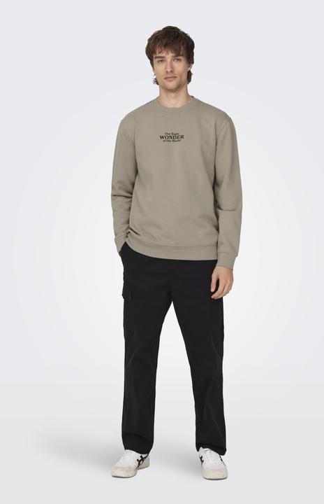 Image du produit Only & Sons ONSCELEBRITY REG CREW NECK SWT Sweat-shirt - 562138 (L)