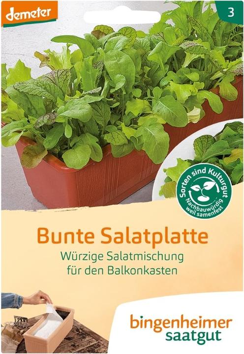 Produktbild Bingenheimer Saatgut Mischung Bunte Salatplatte (Keimlinge)