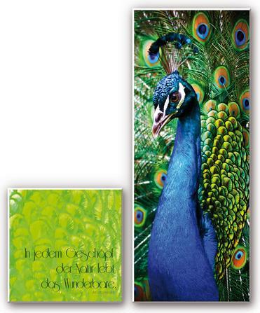 Produktbild Trenddeko In jedem Geschöpf der Natur (2-teilig) (30 x 30 cm, 80 x 30 cm)