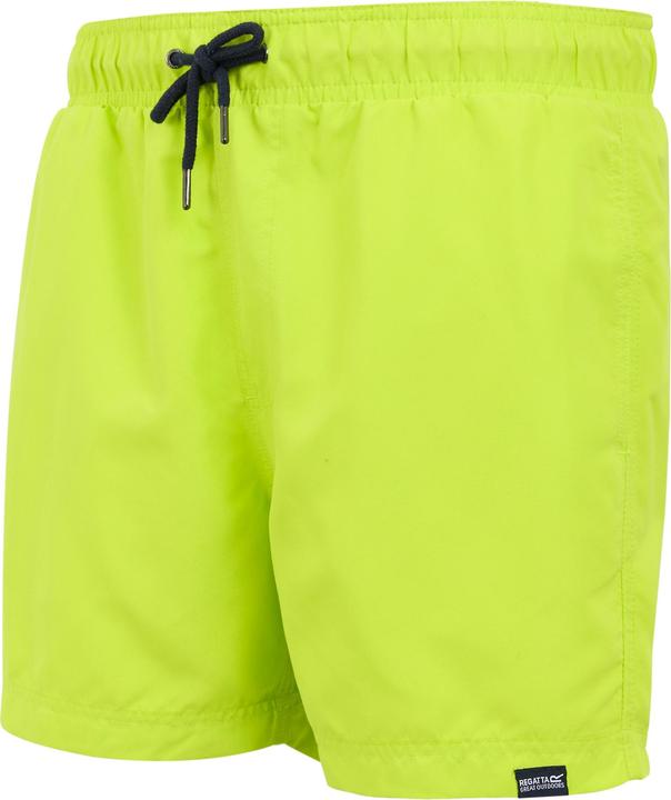 Produktbild Regatta Mawson II Kurze Hose (M)