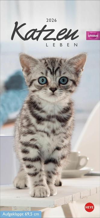 Produktbild Whiskas Katzenleben Kalender 2026 (Deutsch)
