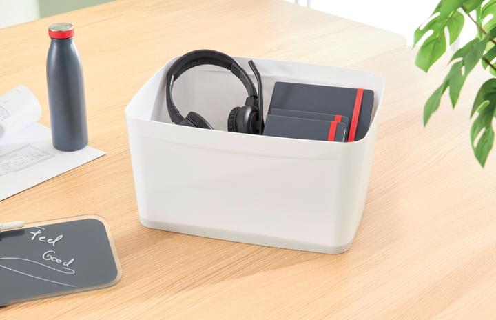 Immagine prodotto Leitz MyBox Large con coperchio (31,8 x 19,8 x 38,5 cm, 18 l)