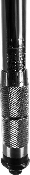 Image du produit Bigstren Clé dynamométrique (1/2", 28 Nm, 210 Nm)