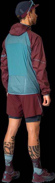 Produktbild Dynafit Alpine Wind Jacke (54)