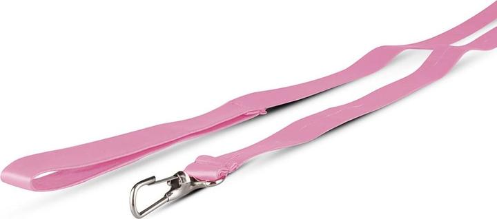 Image du produit Secret Pleasure Chest Pink Pleasure