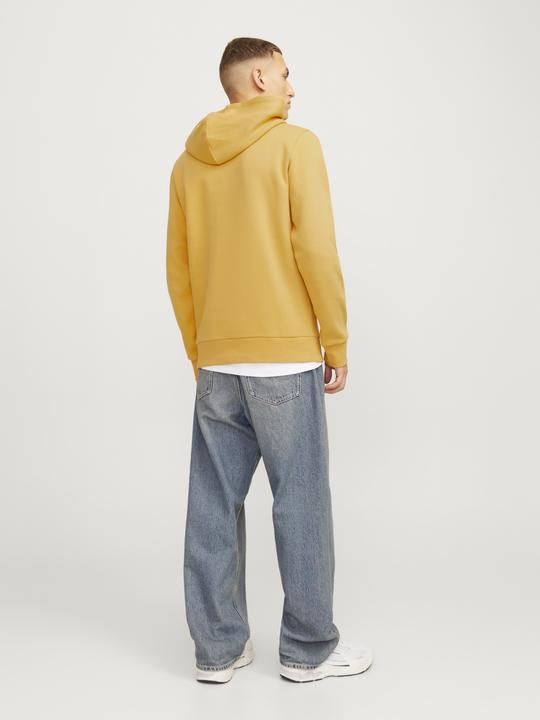 Immagine prodotto Jack & Jones JJELOGO SWEAT HOOD 2 COL 24/25 NOOS (XXL)