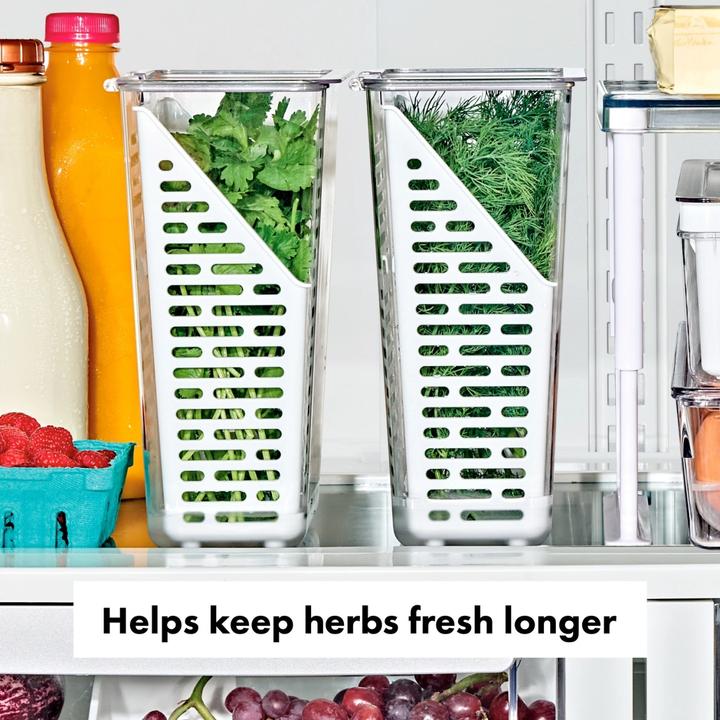 Actual product image OXO Good Grips Produce Saver Frischhaltebox Kräuter