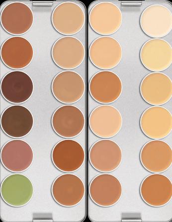 Dermacolor Camouflage Palette (24S)