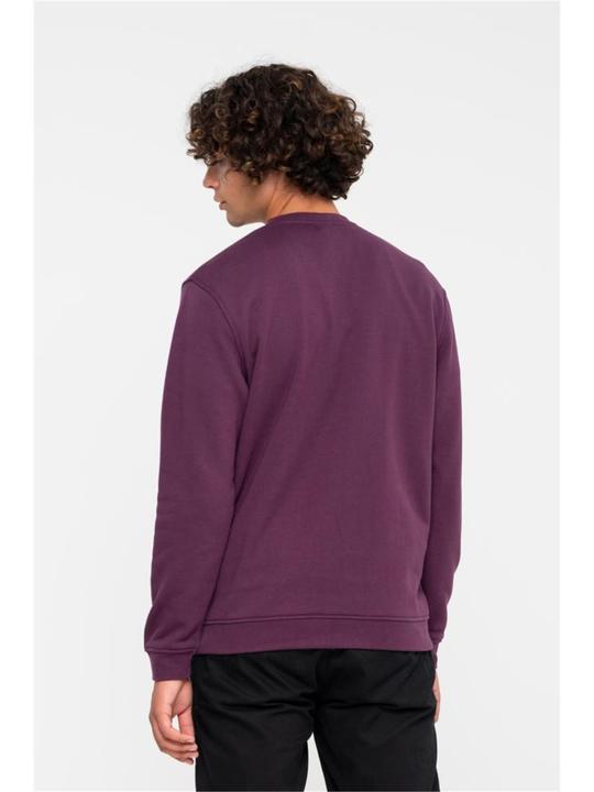 Actual product image Santa Cruz Strange Oval Strip Crew (S)