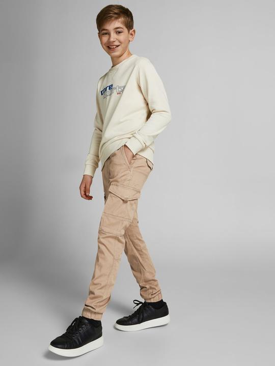 Produktbild Jack & Jones Jungs Paul Flake Cargohose (146)