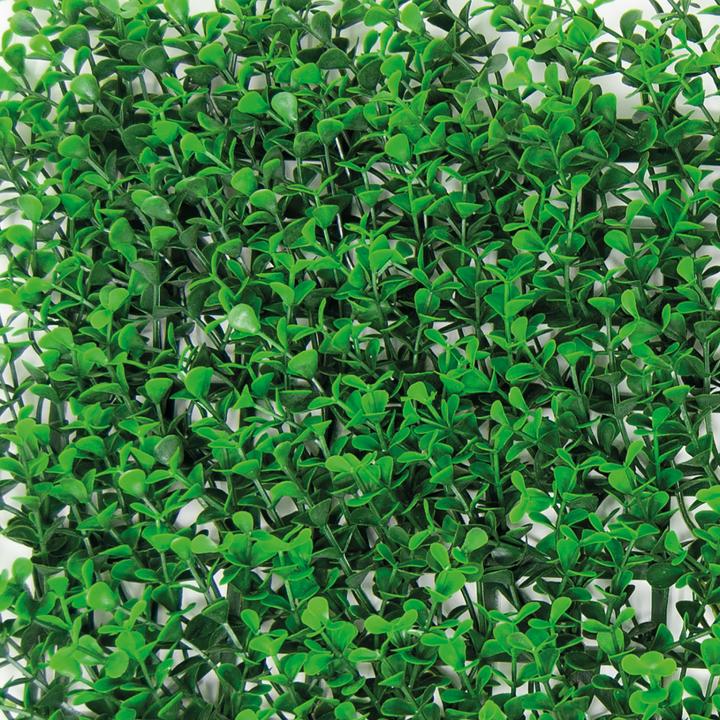 Produktbild Tenax Divy 3D Panel Buxus Intense (100 cm)