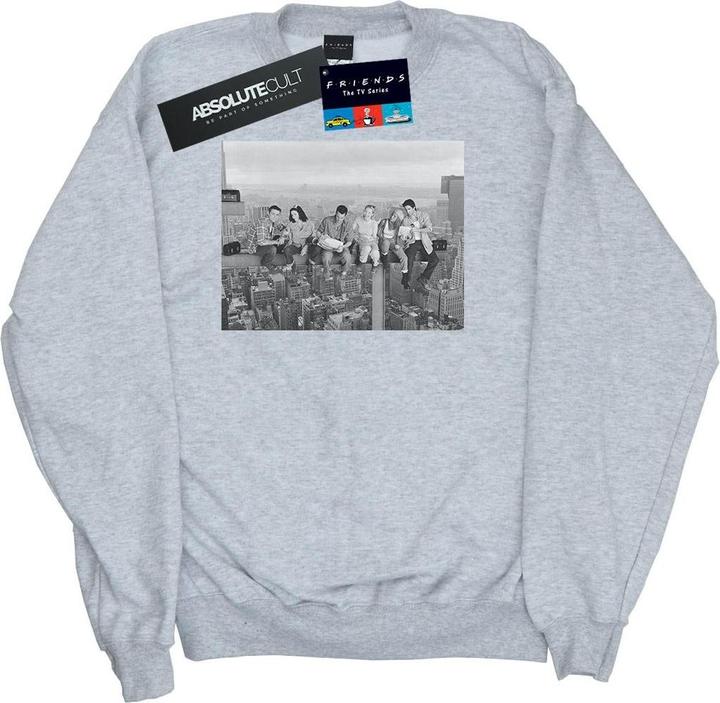 Friends Construction Photo Sweatshirt (M)