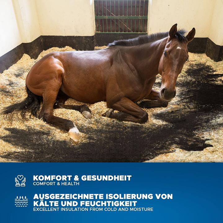 Image du produit ETM Pontiac (120 x 180 cm)