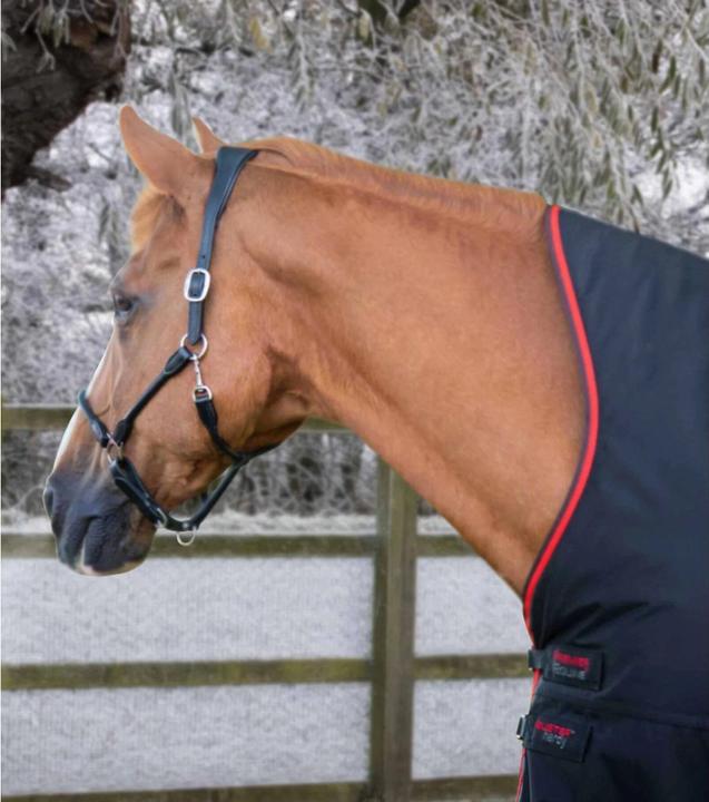 Produktbild Premier Equine Buster Hardy 400 g (168 cm)