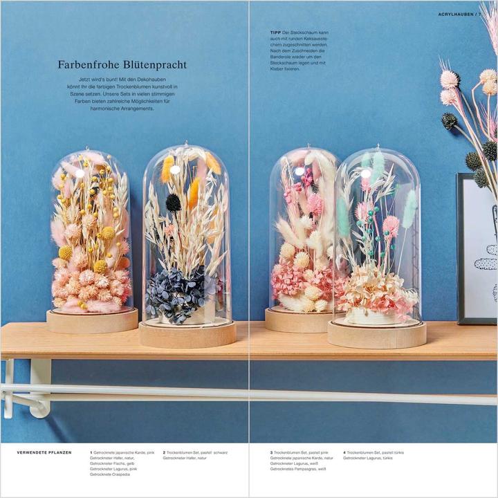 Image du produit Rico Design Handbuch Made by Me Trockenblumen 20 Seiten (Allemand, 2023)