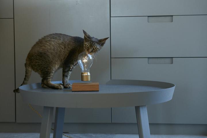 Actual product image Flyte Lamp Nikola Levitation (60 lm)