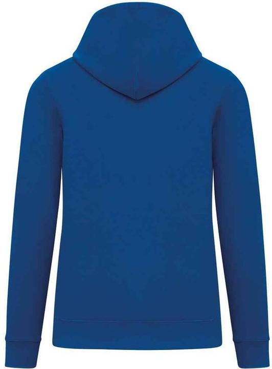 Image du produit Native Spirit - Sweat à capuche - Adulte (S)