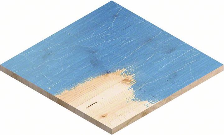 Actual product image Bosch Professional Zubehör Expert S470 Combi Block (Fine)