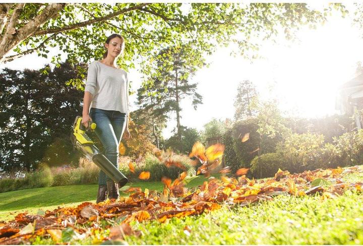 Actual product image Ryobi OBL18JB One+ (Rechargeable battery operated, Leaf blower)