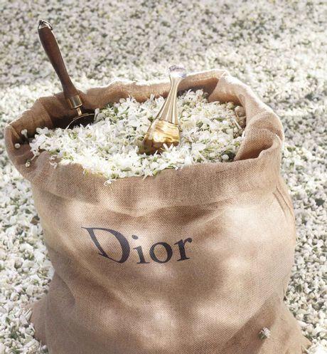 Actual product image Dior J'Adore (Eau de parfum, 20 ml)