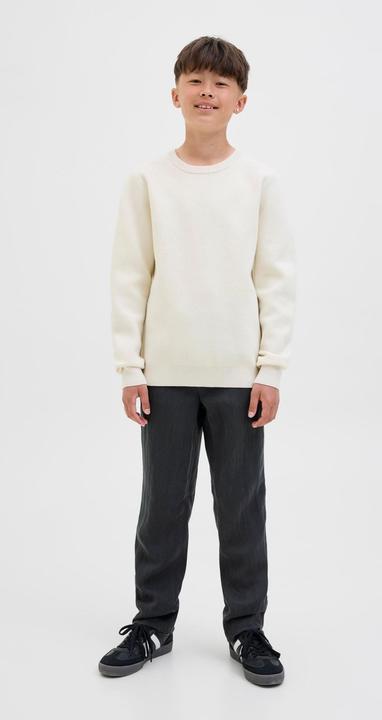 Produktbild Jack & Jones Loose Fit Hosen Junior Loose Fit Hosen (170)