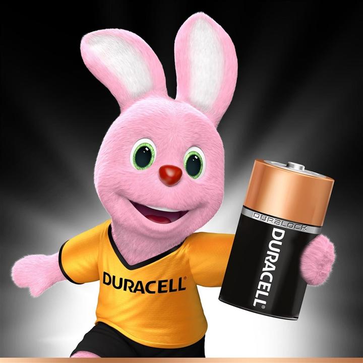 Actual product image Duracell Economy Pack (8 pcs., AAA)