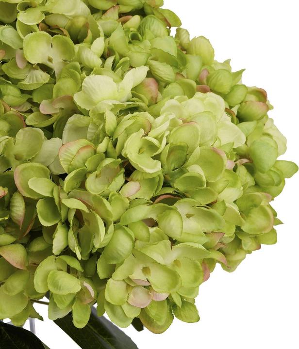 Immagine prodotto Hill Interiors Mazzo di Ortensie Fiore Artificiale (23 cm)