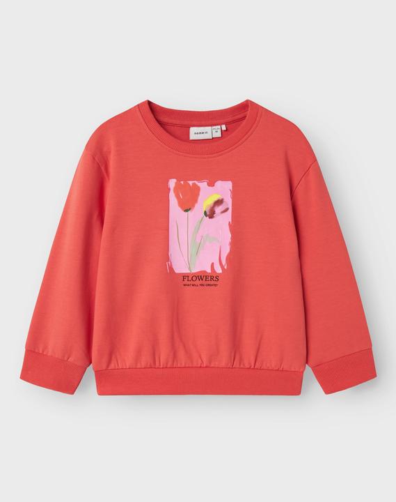 Immagine prodotto Name it Bio-Baumwoll Sweatshirt (116)