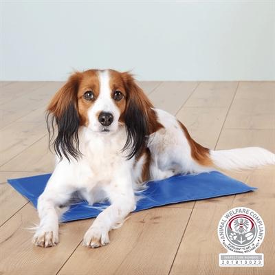 Actual product image Trixie Cooling mat (Dog, Cat)