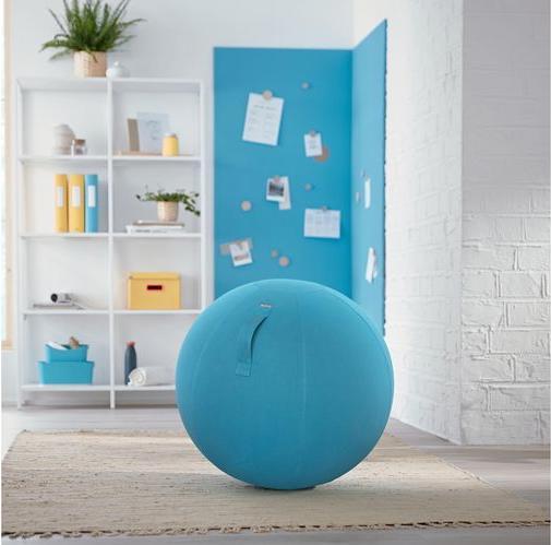 Produktbild Leitz Ergo Cosy Active Sitzball (65 cm)