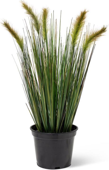 Produktbild Fleur Ami FOXTAIL GRAS Kunstpflanze (60 cm)